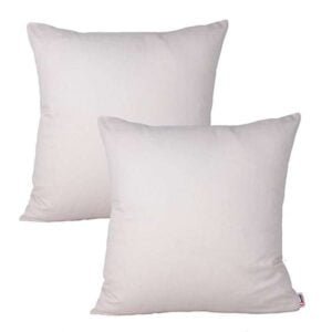 2Pcs Plain Dyed Cushion Covers - White