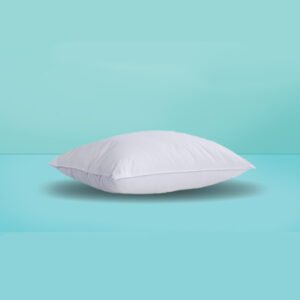 Single White Ball Fiber Pillow Price In Pakistan